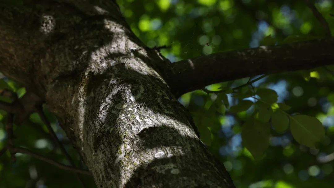 “薪火”天文台丨中国陕西丨安哲建筑-41