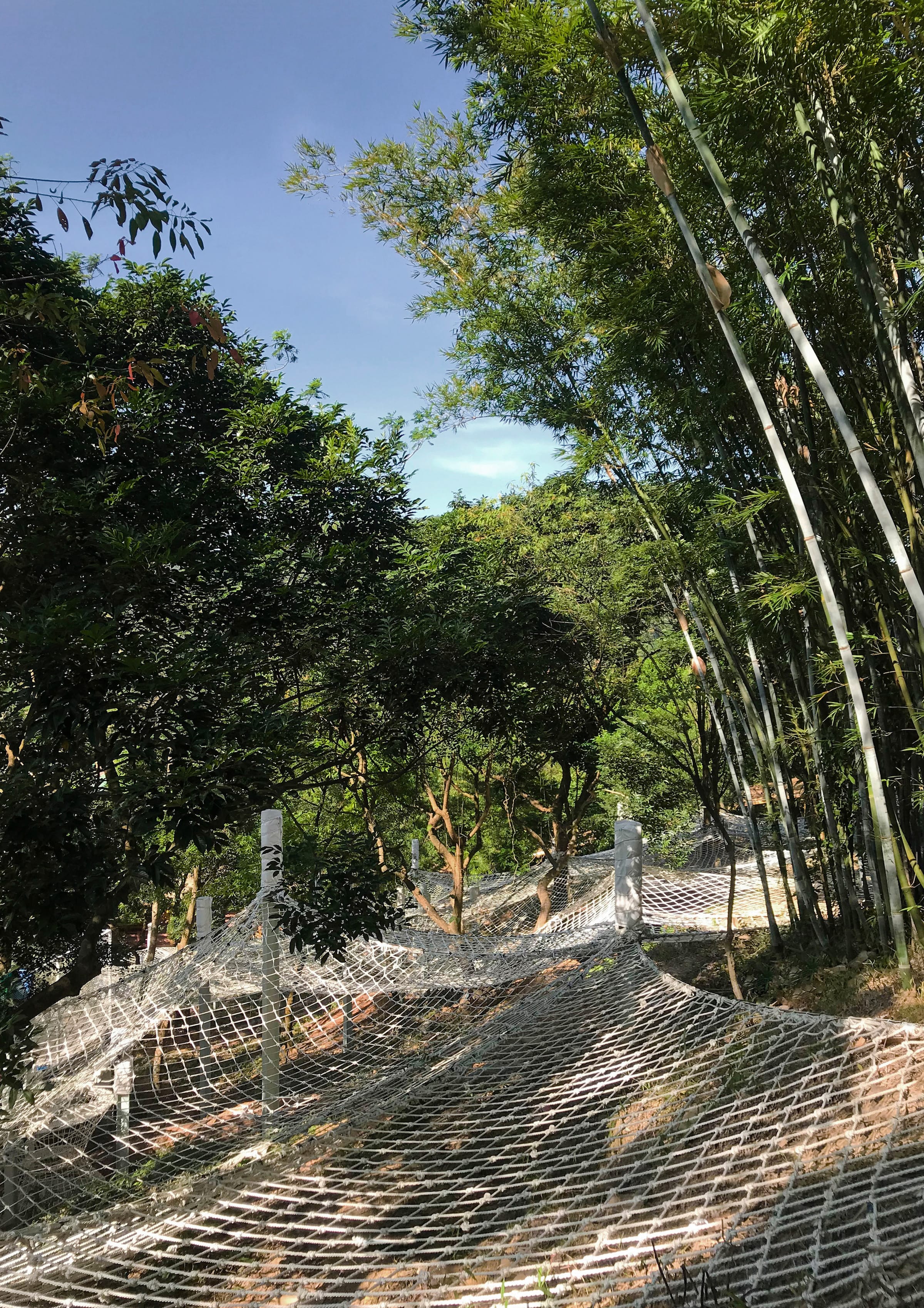 广东罗浮山谷林攀爬乐园-22