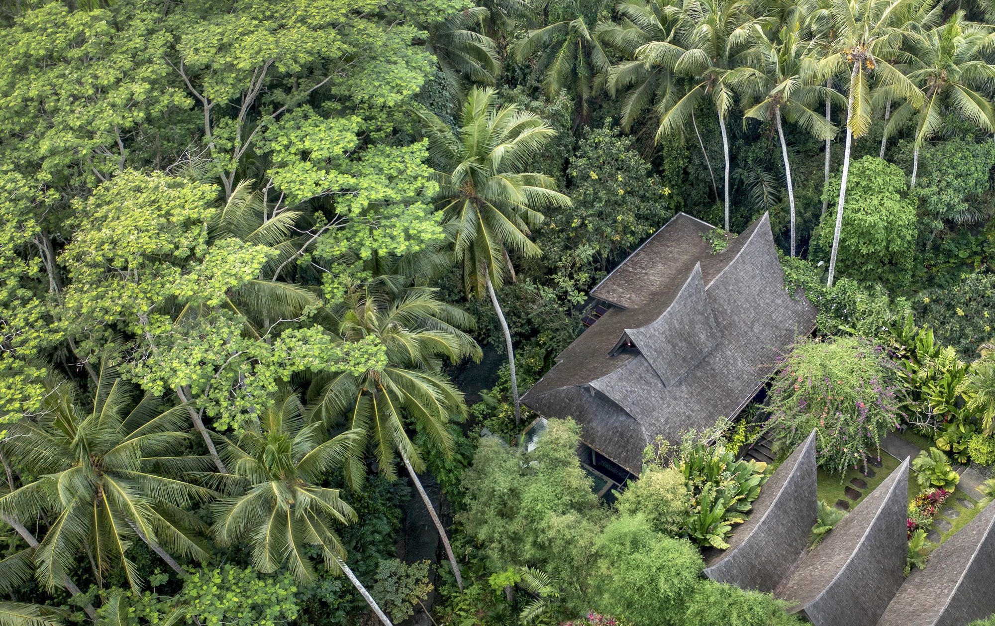 Rumah Tresna 私人住宅丨印度丨Alexis Dornier,Ida Bagus Oka-11