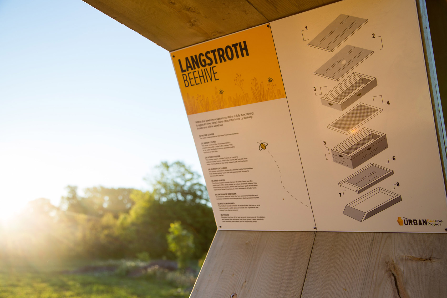 加拿大城市蜂巢装置-16