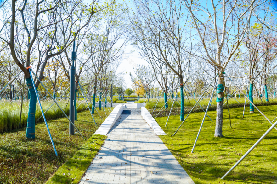 东莞滨海湾文体公园丨萨尔瓦多滨海丨广州园林建筑规划设计研究总院有限公司-41