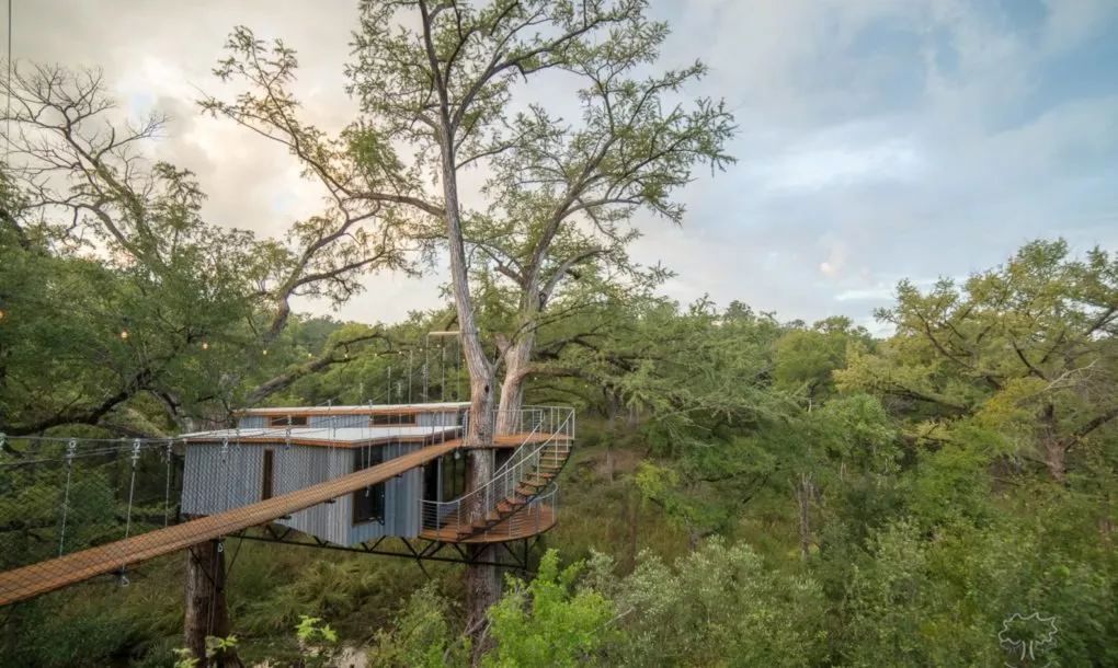德克萨斯州横溪树屋 | 自然与艺术的完美融合-3