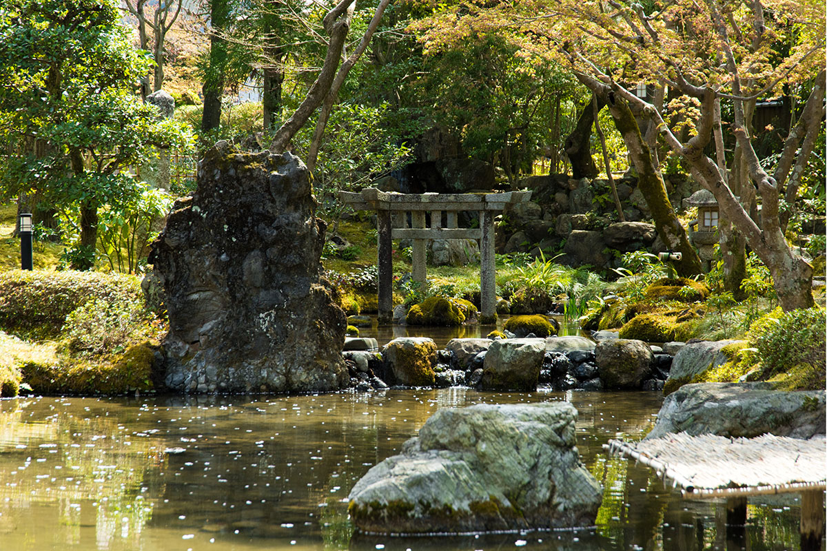 旧时气韵，现代延承 | 植彌加藤-66