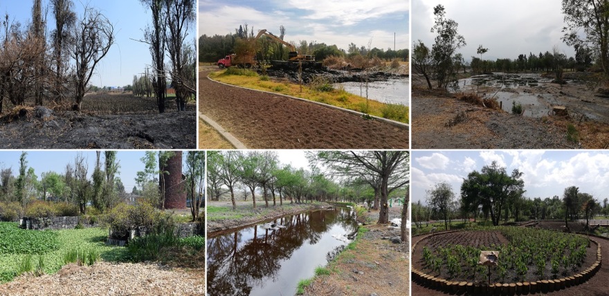 Xochimilco 生态公园丨墨西哥墨西哥城丨Grupo de Diseno Urbano S.C.-45