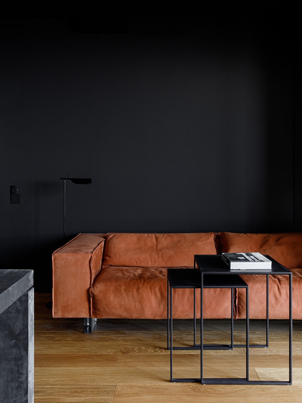 现代极简黑灰公寓 | 设计师伊利亚·泽伊曼的杰作-21