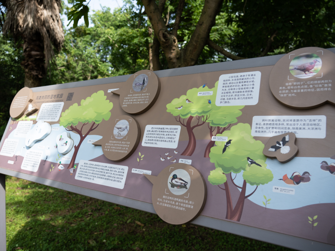 白鹭湾湿地公园自然探索基地丨中国成都丨上海柏熙标识有限公司-18