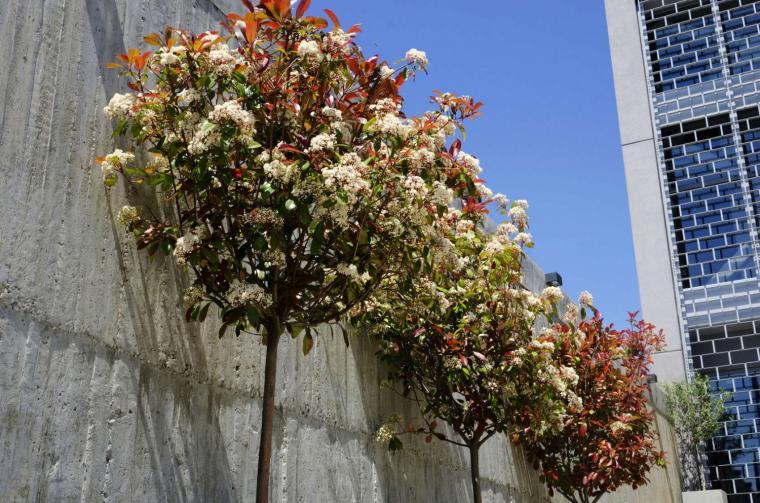 希腊雅典 Diopter 住宅-23