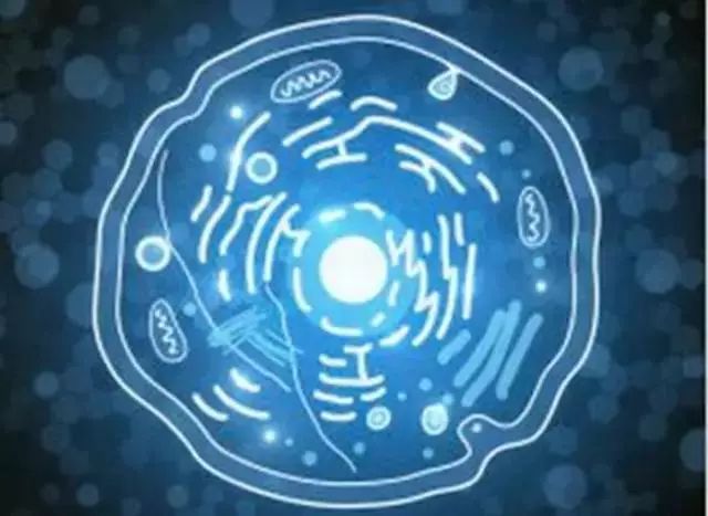 《Science》公布的 125 个最具挑战性的科学问题,你感兴趣的是哪个?-162