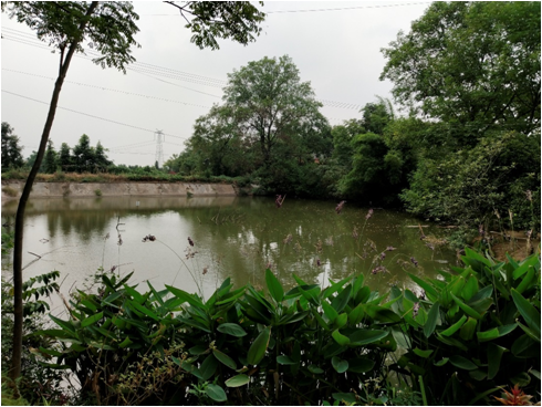 药山文化旅游景区旅游总体规划丨中国湖南丨清尚建筑设计研究院第二设计所-7