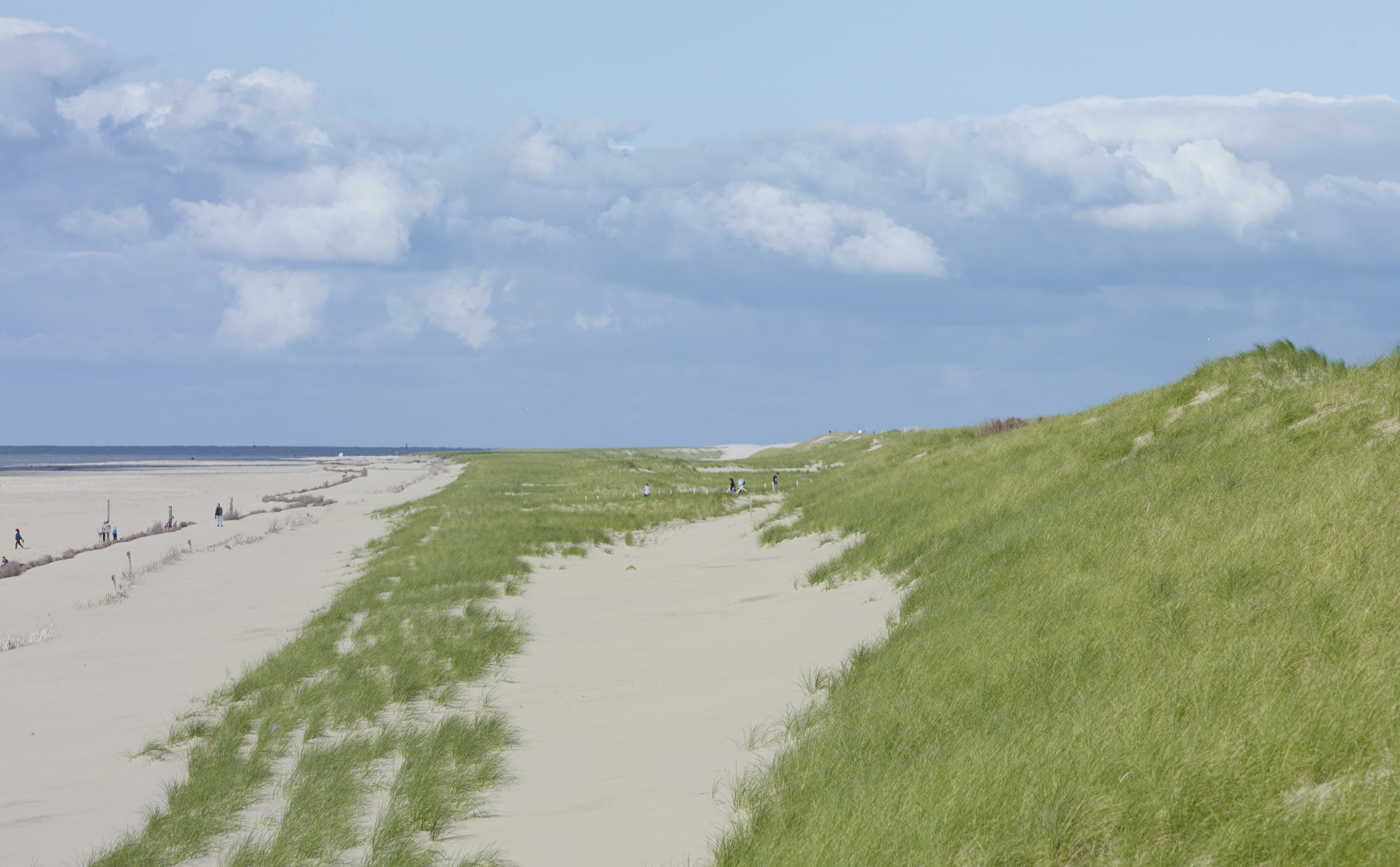 The New Hondsbossche Dunes | West 8-10