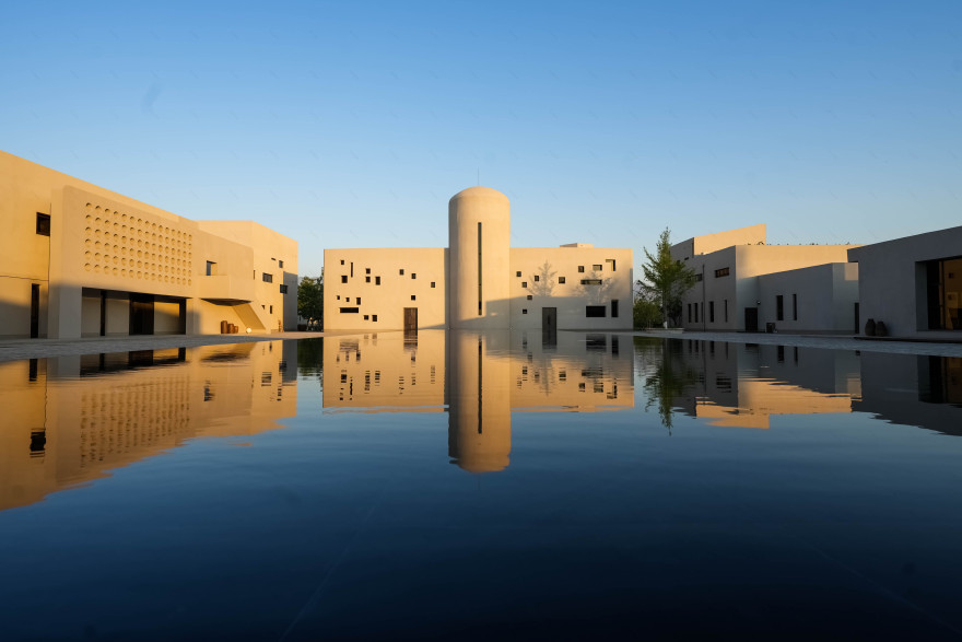 全球首个枸杞特产庄园丨中国银川丨夏科,唐志林-7