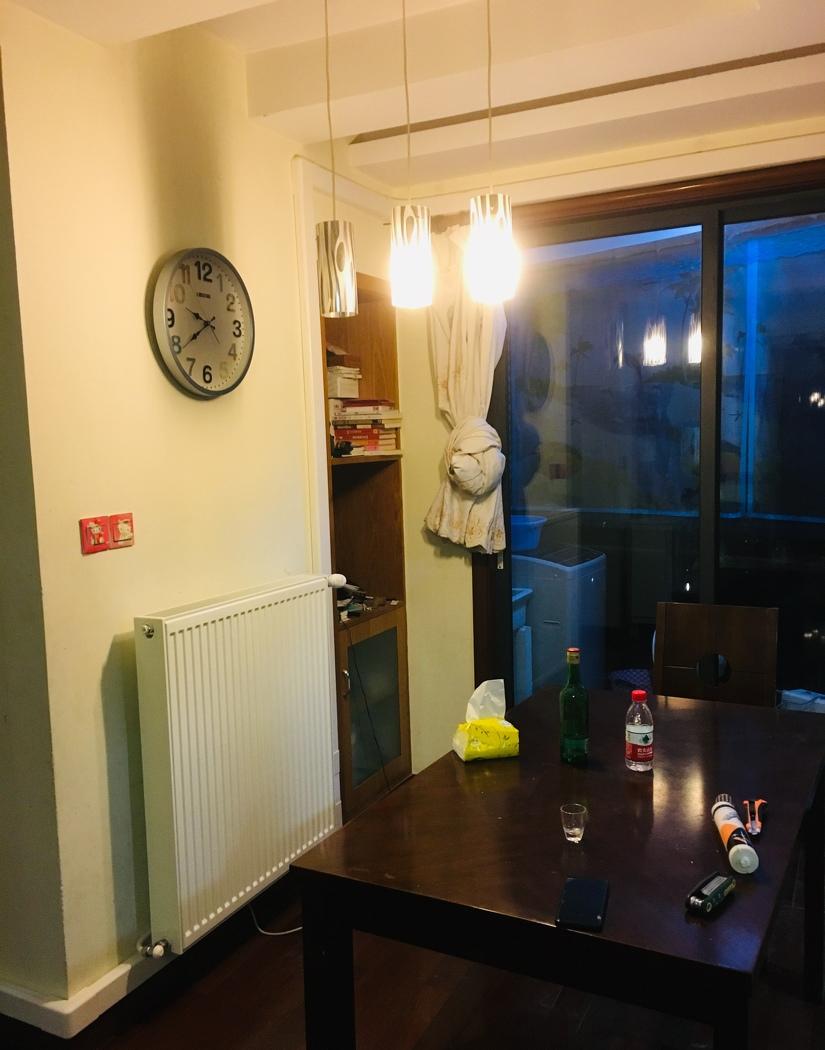 上海浦东新区北艾路普特斯明装暖气片效果展示-4