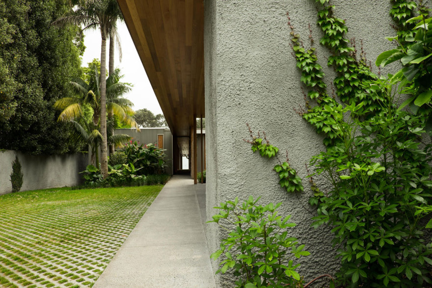 Argyle House 的有机庭院景观-5