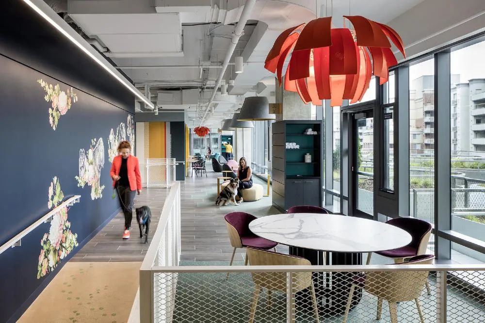 美国 Amazon 阿灵顿 HQ2 一期工作楼层丨Gensler 设计团队-26