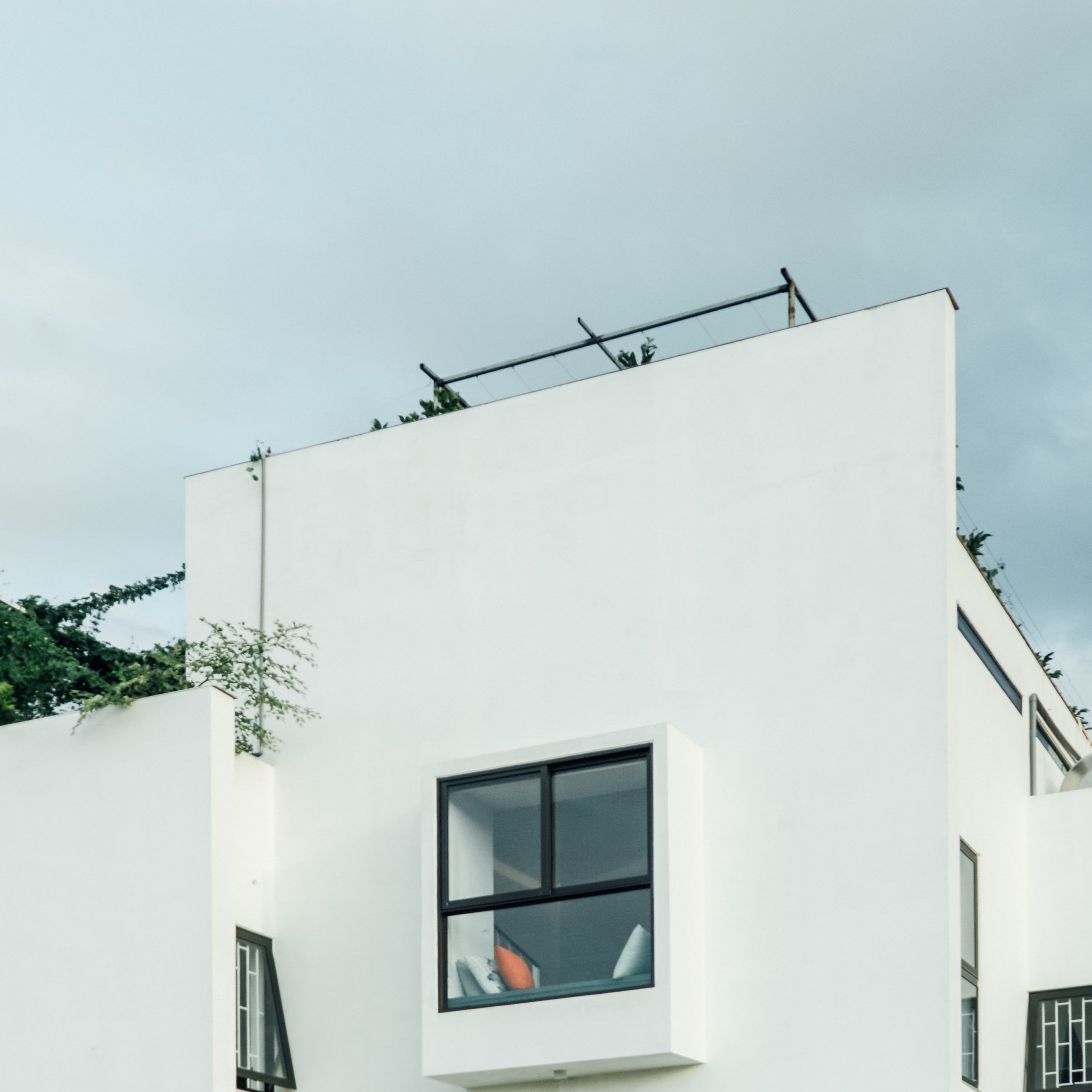 绿意盎然的四口之家-19