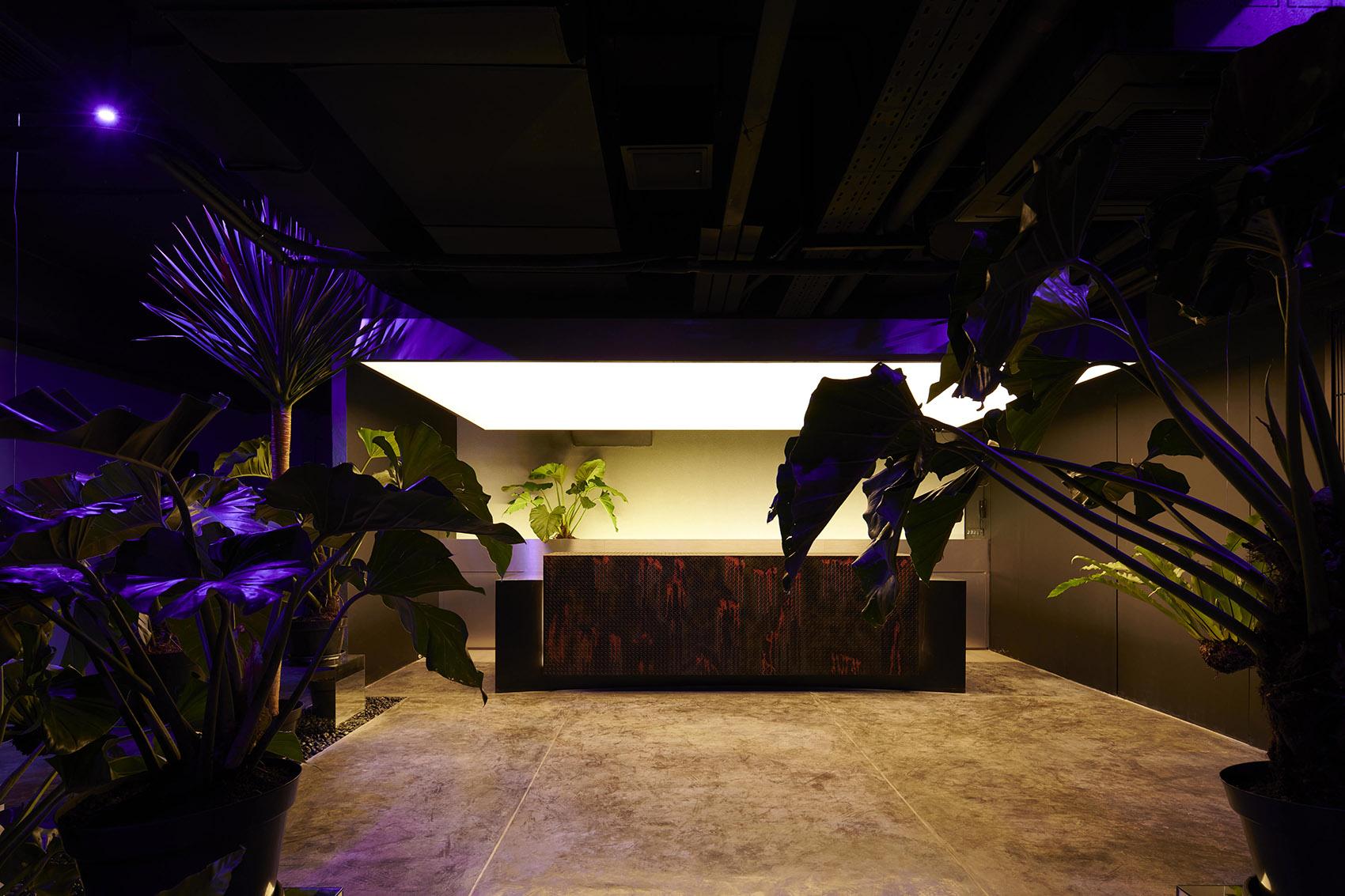 HIDDEN 地下酒吧丨RAD+ar-10