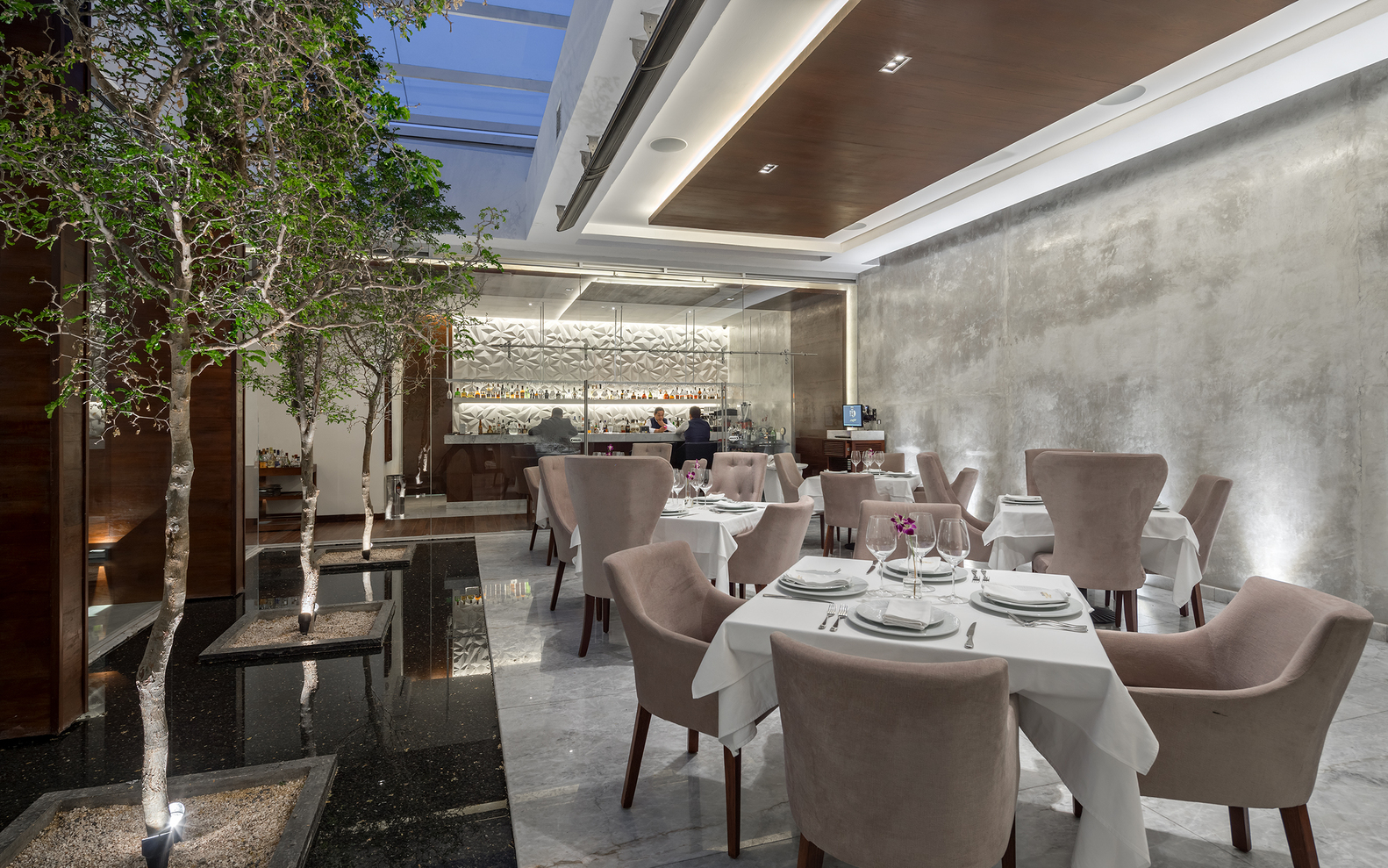 萨拉特工作室-42