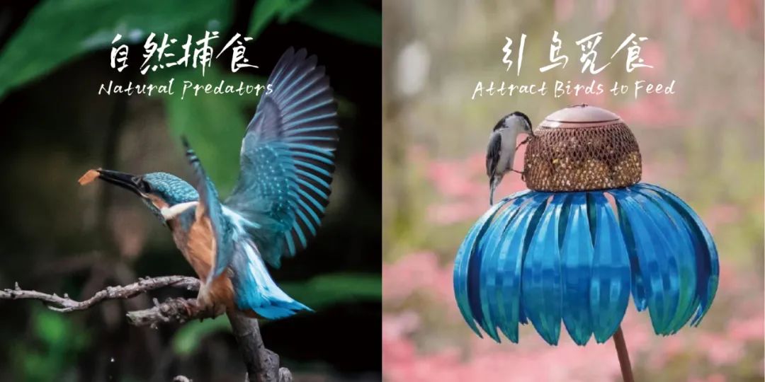 深圳华润万象前海商业花境设计及落地丨中国深圳丨深圳本末度景观设计有限公司-46