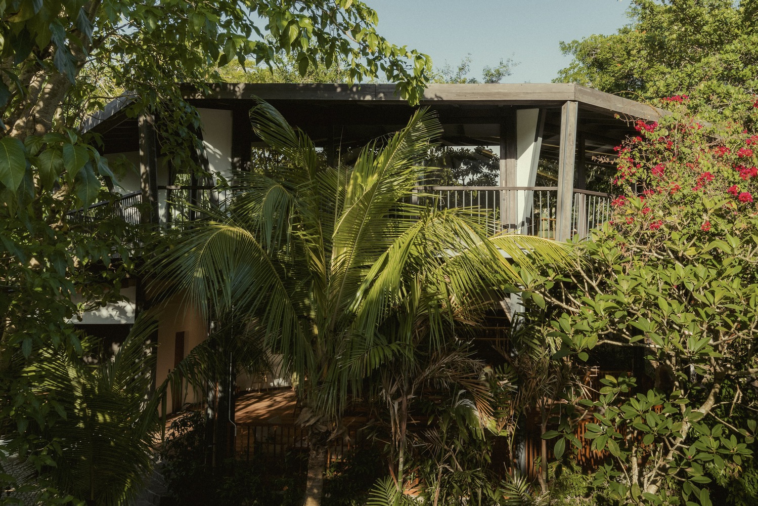 印度尼西亚八角形餐厅和工作建筑丨斯蒂尔特工作室-11