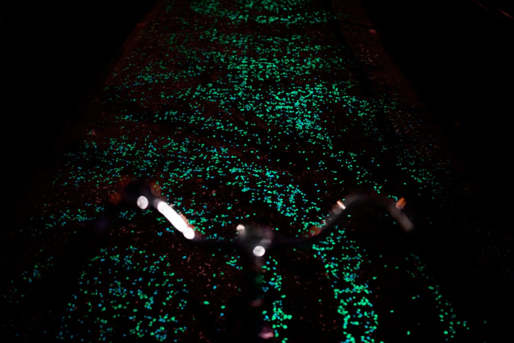 Roosegaarde设计的梵高发光自行车道丨荷兰丨Studio Roosegaarde-30