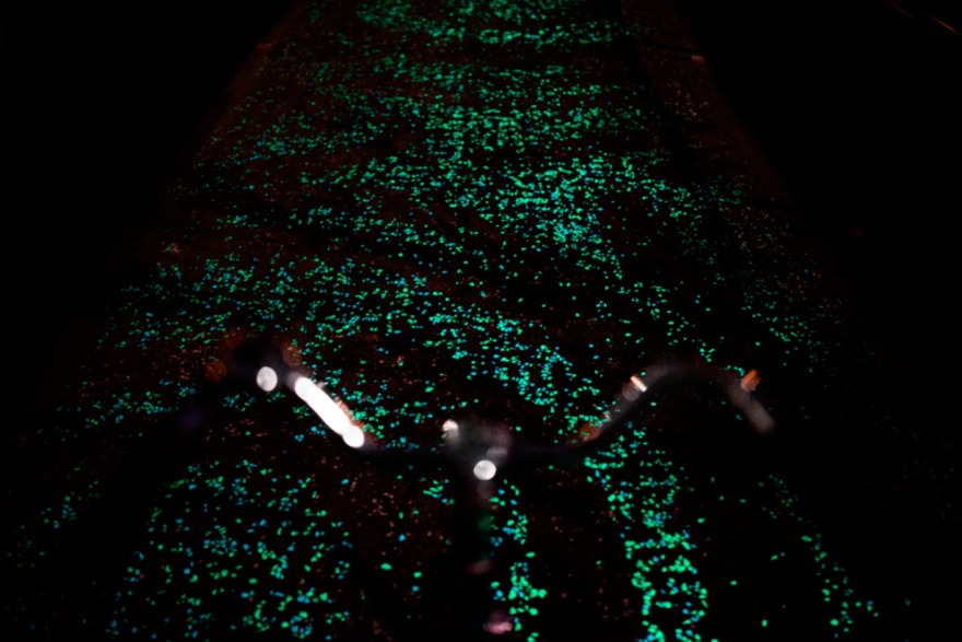 Roosegaarde设计的梵高发光自行车道丨荷兰丨Studio Roosegaarde-30