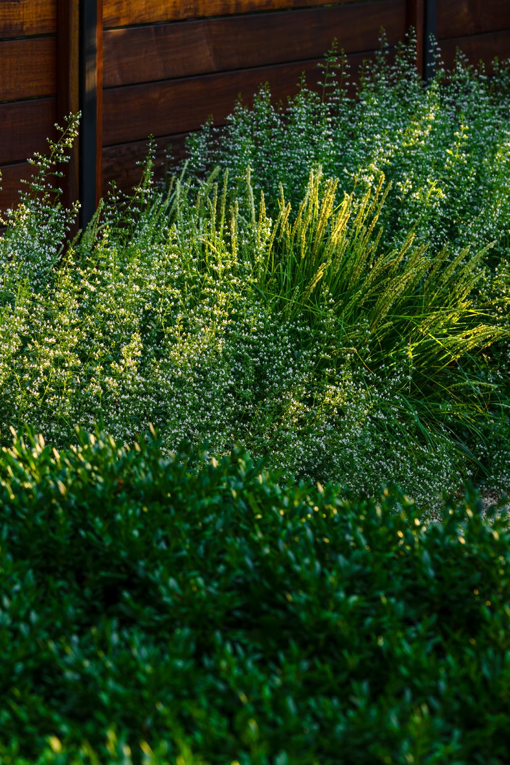 丨美国芝加哥-21