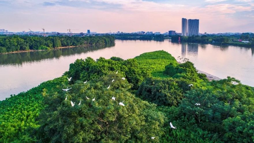 广州水故事 · 碧道山河图丨中国广州丨GZPI 景观与旅游规划设计所-31