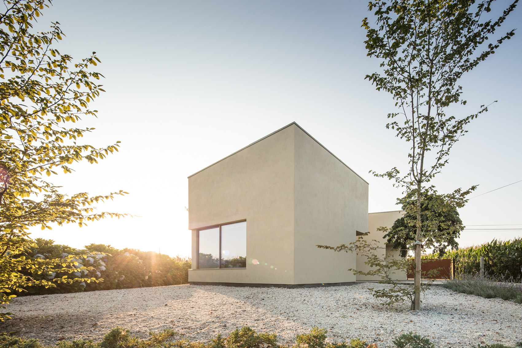 田野间的办公楼,葡萄牙 / Nelson Resende Arquitecto-85