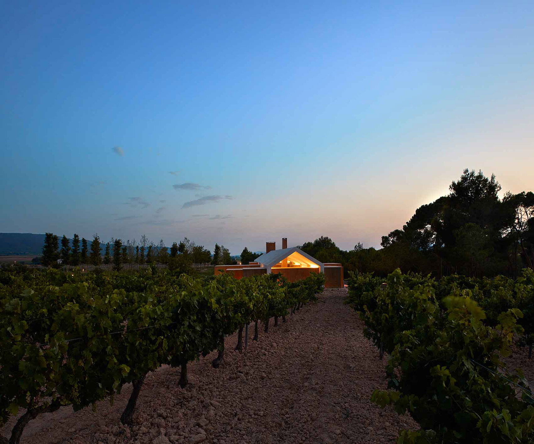 葡萄园小木屋，西班牙 / Ramón Esteve Estudio-56