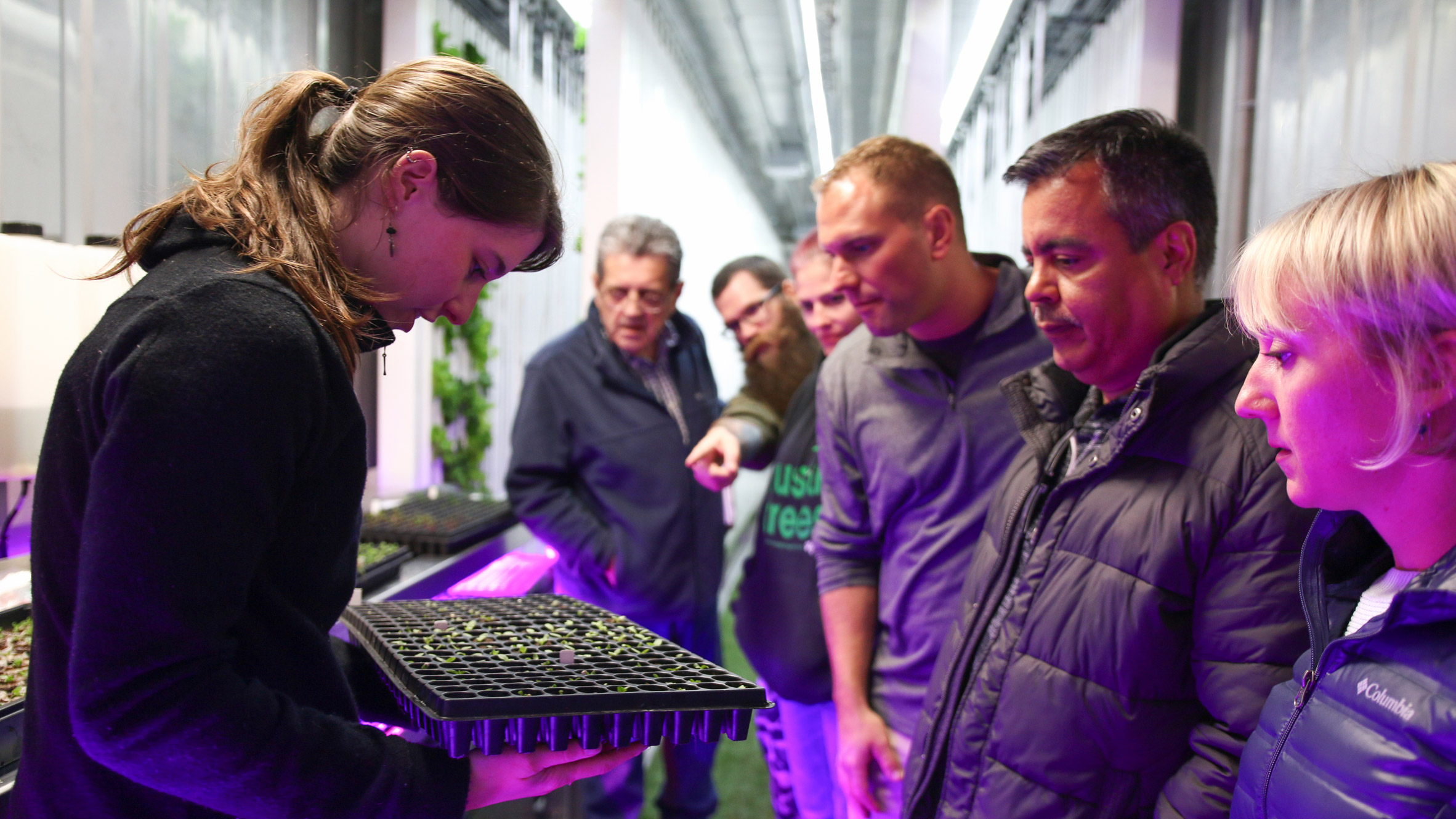 Freight Farms allows crops to be grown inside shipping containers-15