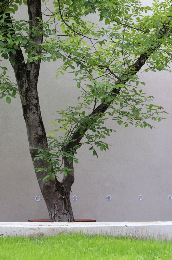 Târgu Mureș市爱心创新与生活质量社会中心丨罗马尼亚丨TEKTUM-50