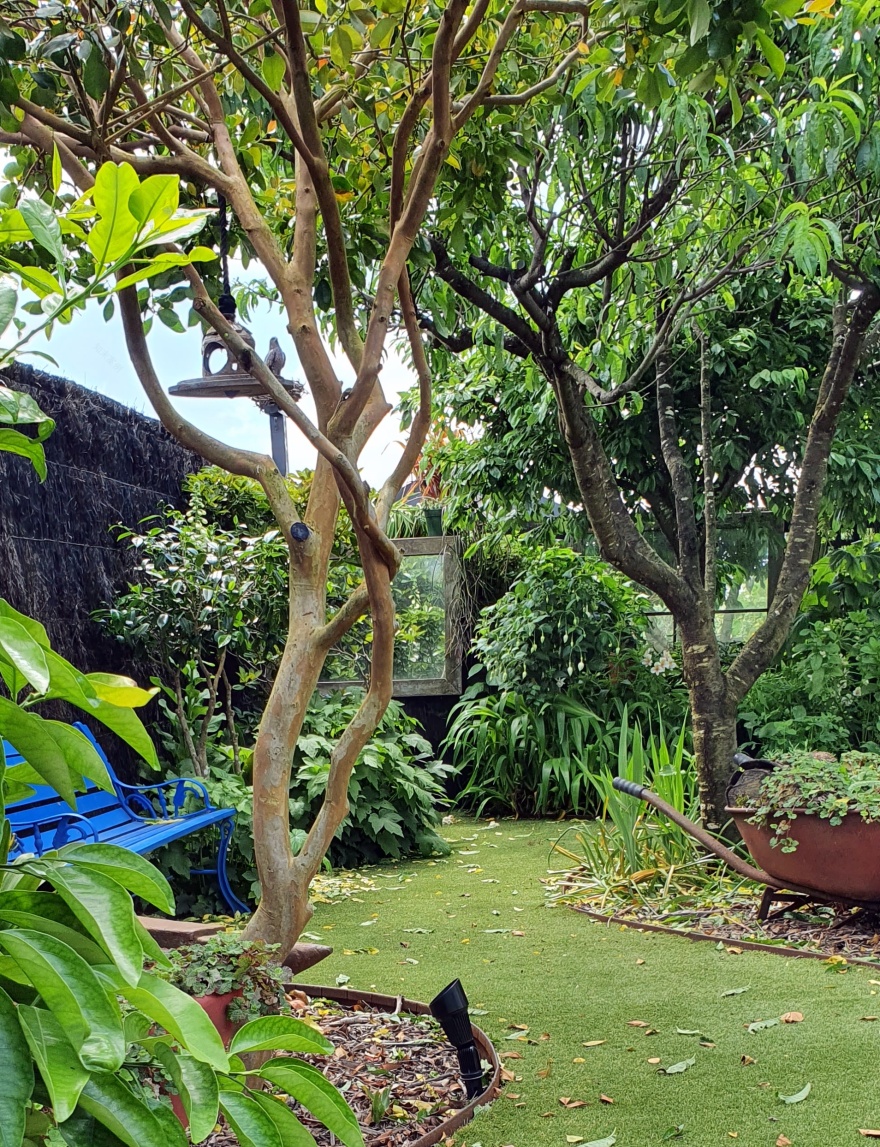 TwoConnect私人花园丨New ZealandAuckland丨Mary和Mark Jones-54