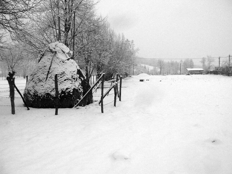 Bughea de Jos的农业旅游宾馆设计丨罗马尼亚-8