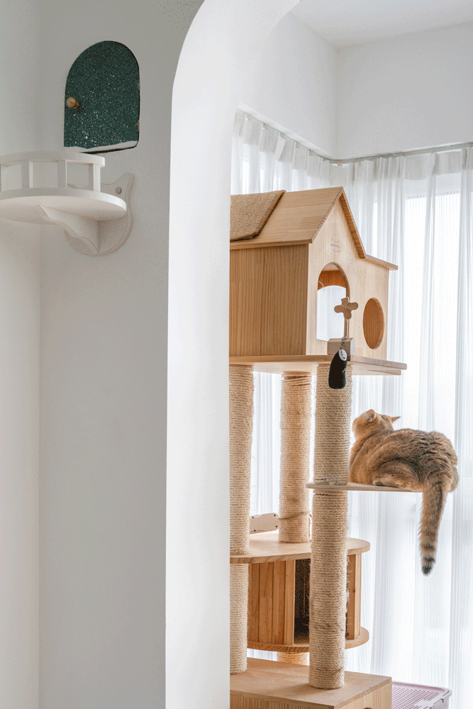 猫奴家庭温馨喵星人空间设计丨中国深圳丨鹿可可设计（深圳）-16