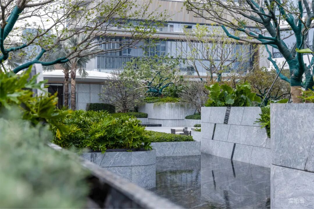 深圳太子湾招商玺，打造世界滨海生活范本丨2025春日大赏-82