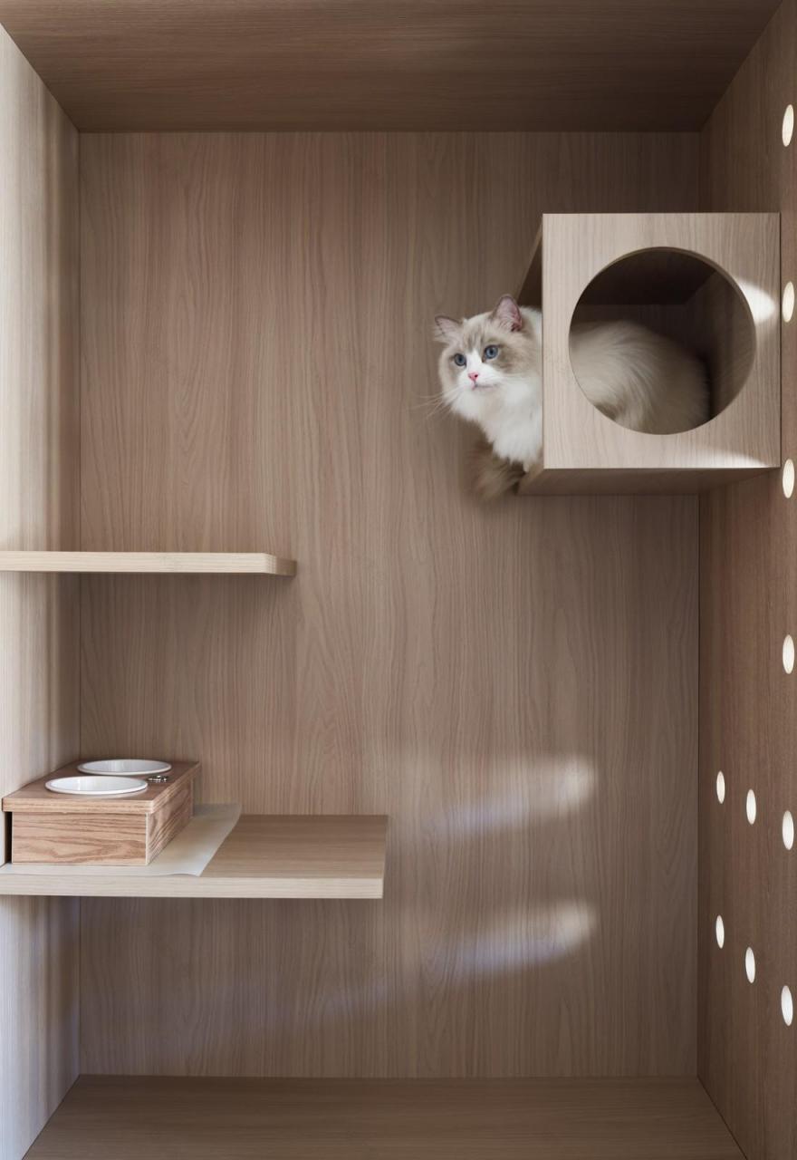 90 后夫妻的阳光婚房-40