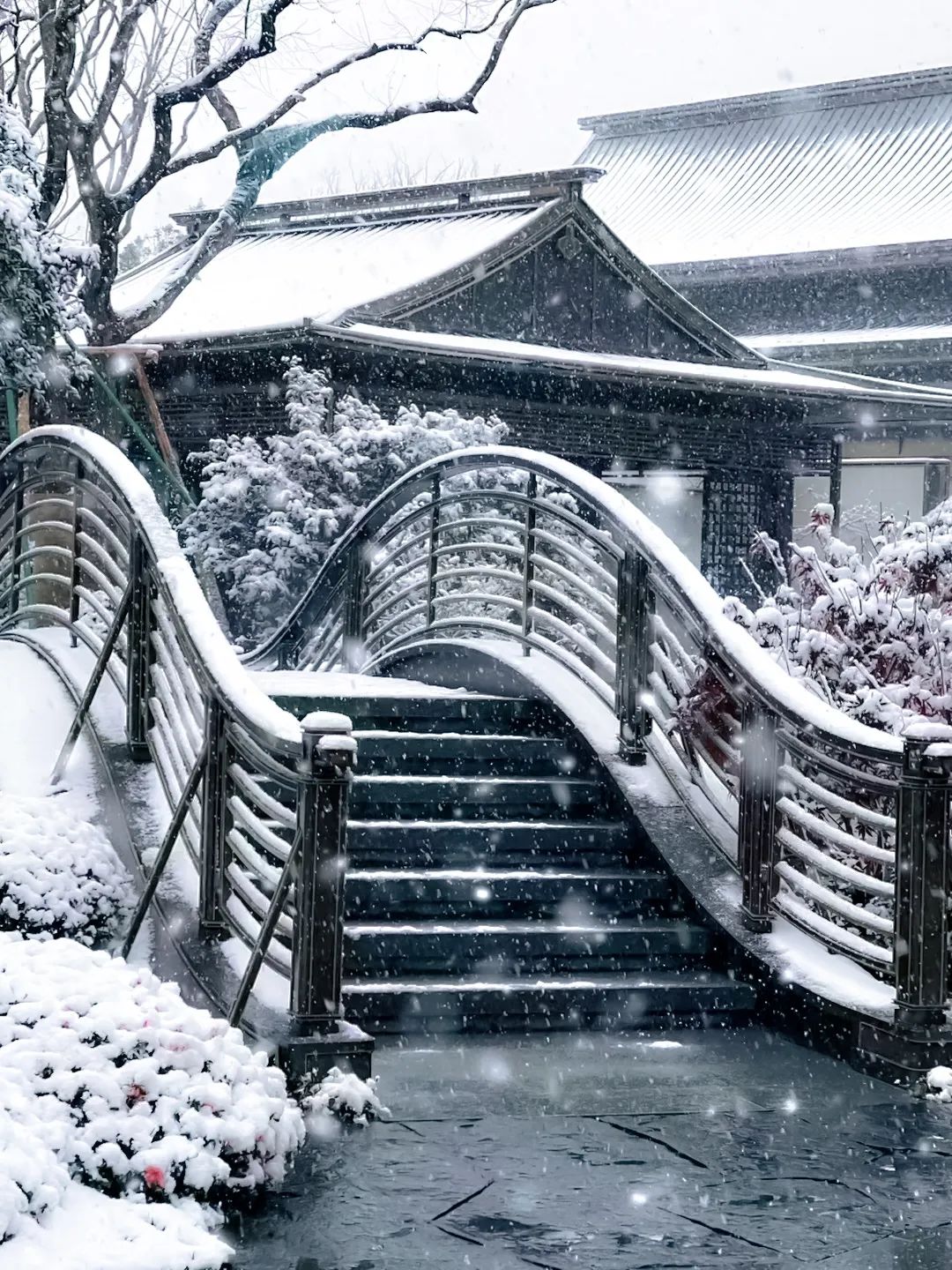 台州建发养云丨中国台州丨致逸设计-129