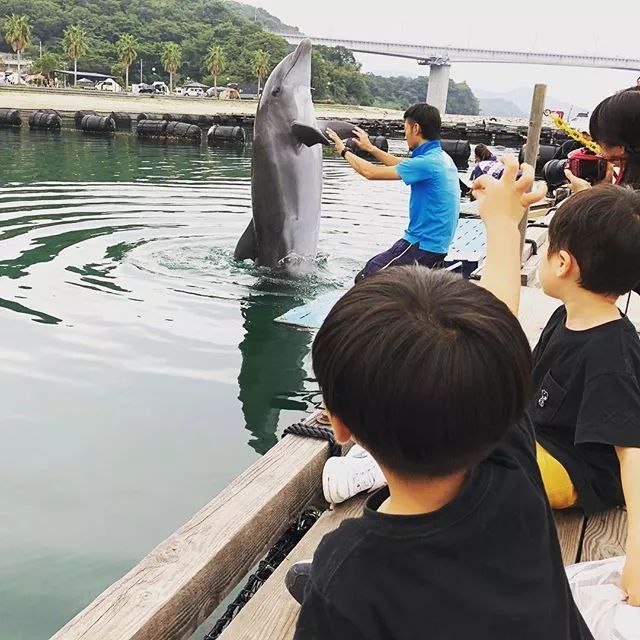 日本妈妈巧手打造整洁梦幻家园，收纳技巧引网友围观-244