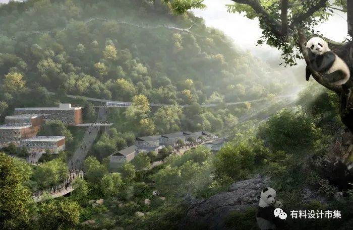 熊猫之都,萌动全球-12