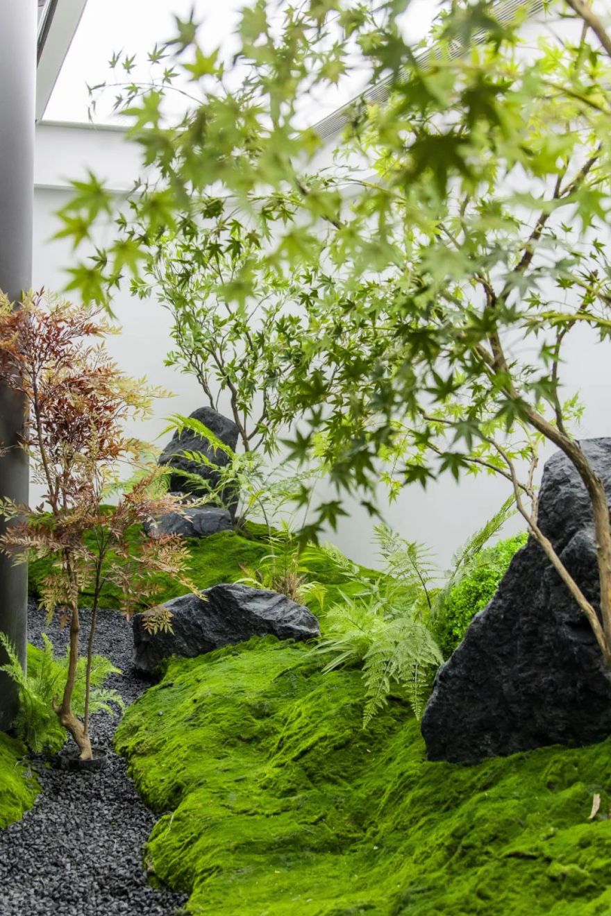 金茂·璞逸丰宜·屋顶露台植物景观·北京丨中国北京丨麦田景观-35