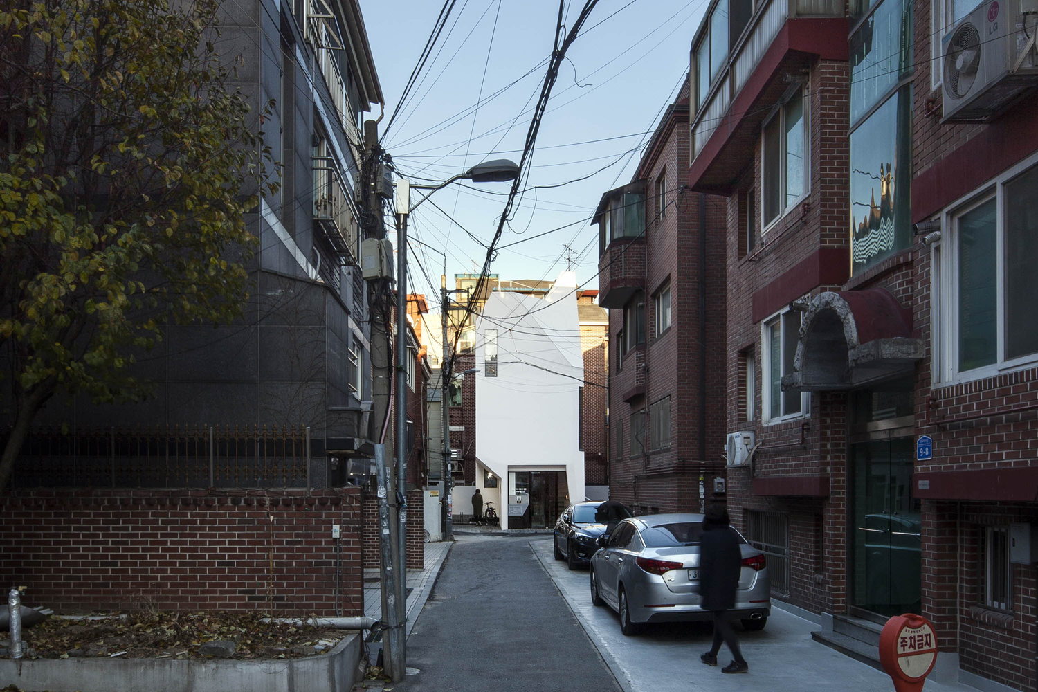 加尔穆里出版社-12