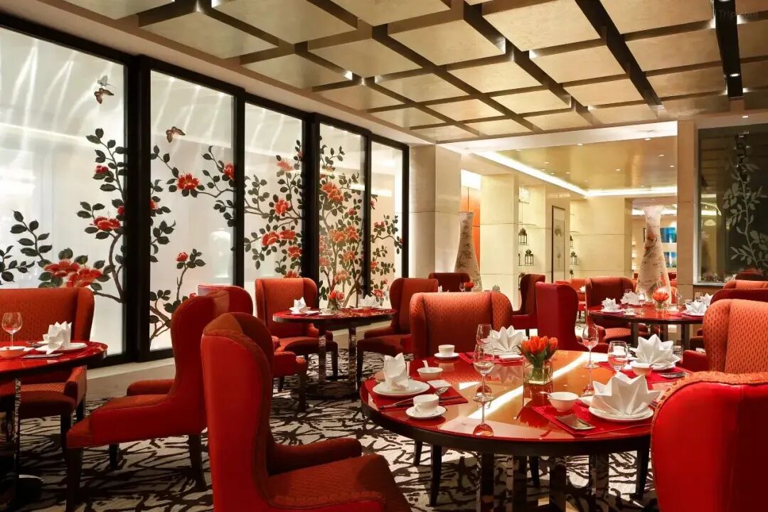 新酒店|城市栖所·自在漫行，寻找城市绿境中的疗愈栖所，洲至奢选宁波绿城尊蓝酒店优雅启幕-59