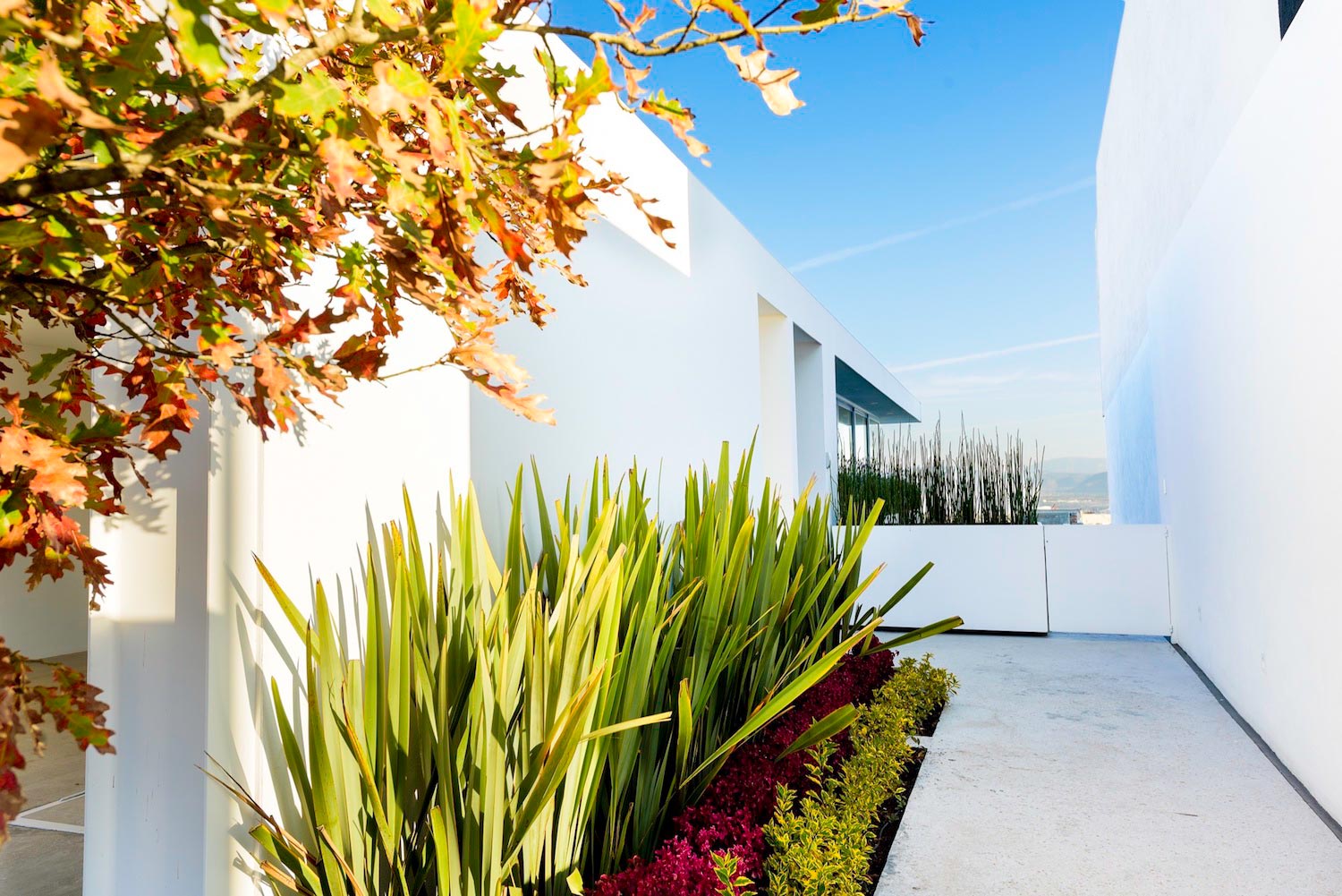 House in Mexico that promotes the absolute coexistence with a sensation of openness and incredible views   Page 2 of 2   CAANdesign  Architecture and home design blog-4