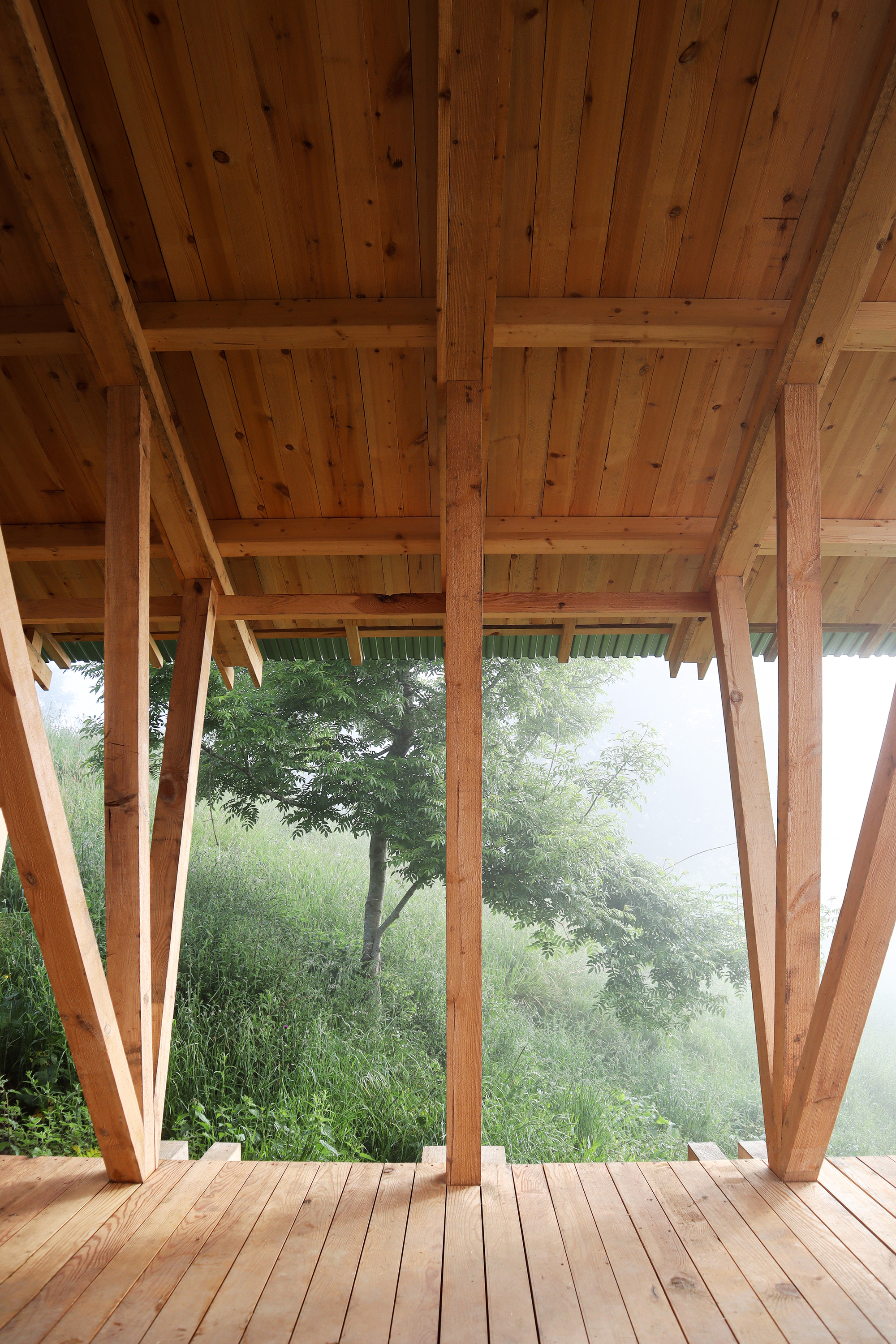 Taller Agropoetico - Foresta Collective / Atelier Poem-34