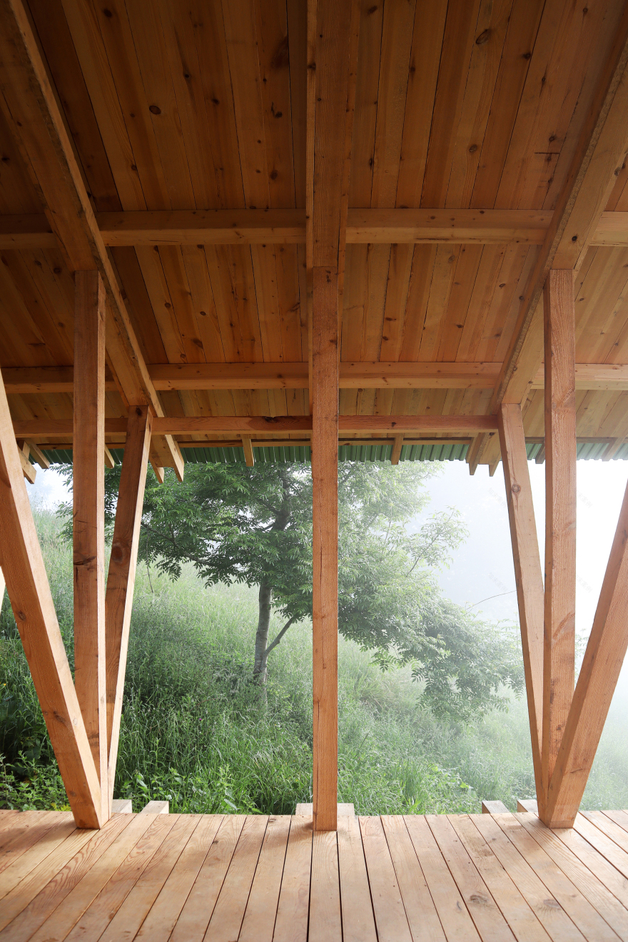 Taller Agropoetico - Foresta Collective / Atelier Poem-34