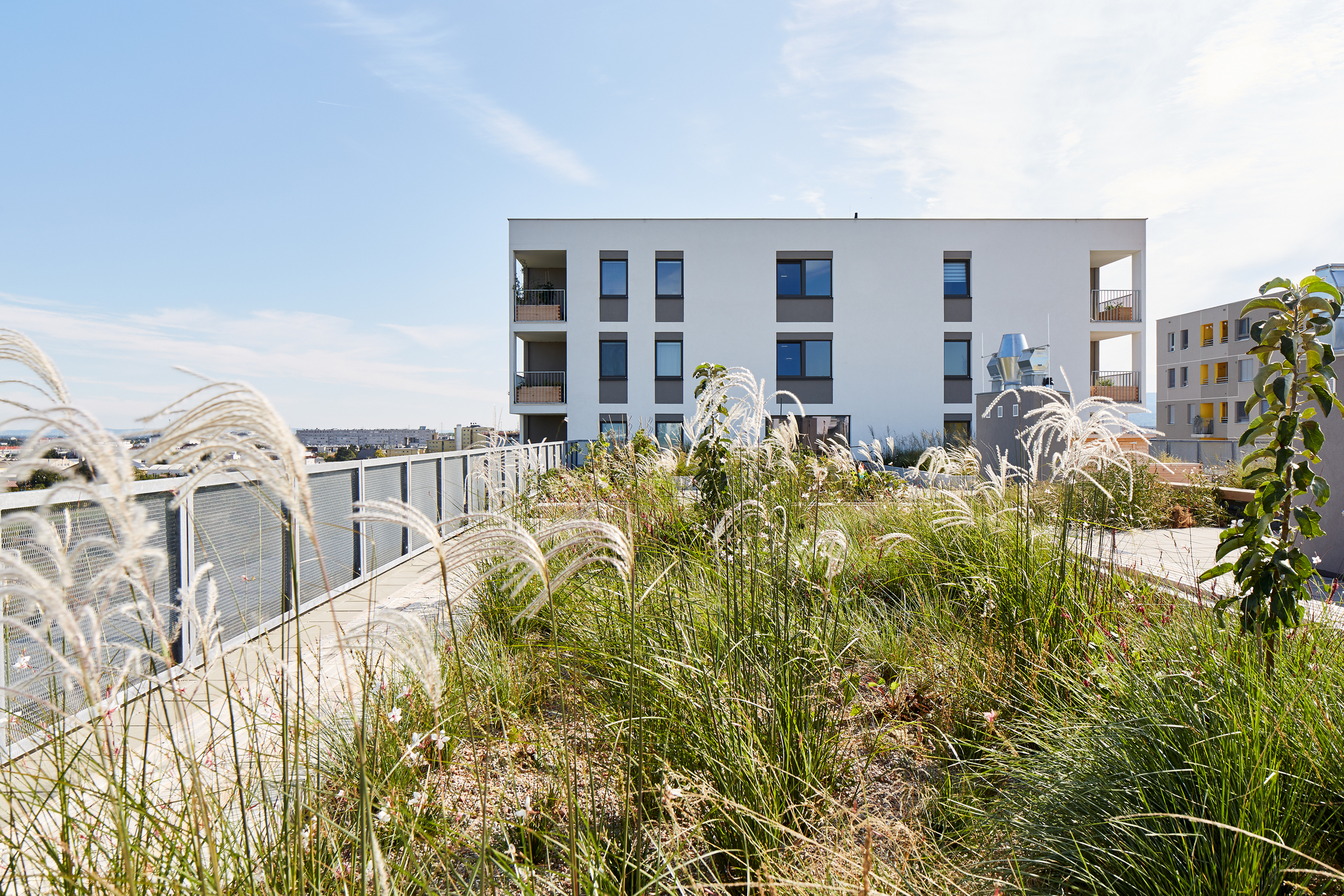 宿舍楼丨Synn Architekten-23