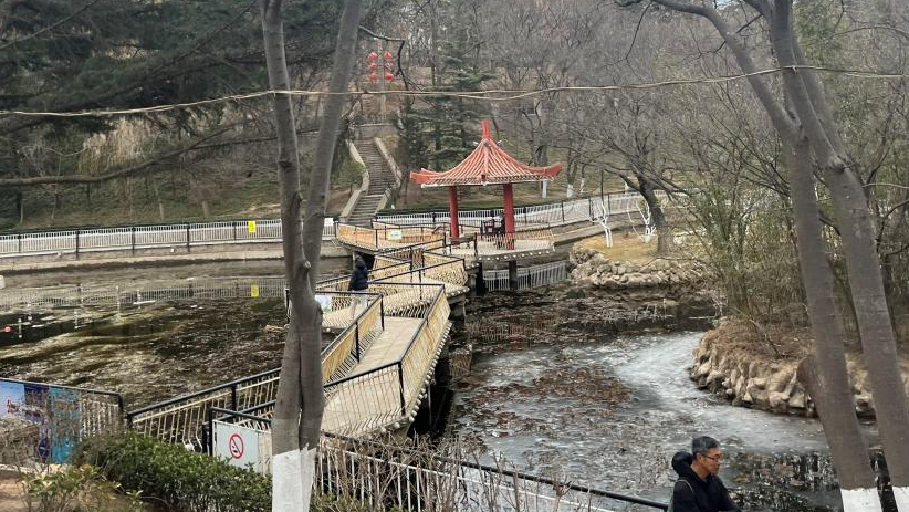 百姓乐园：榉林山焕新归来，悦享自然人文之美-48