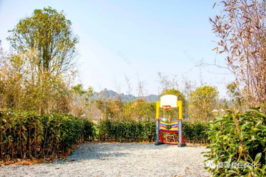 婺源碧山村亲子游新去处,原生态乡村乐园的完美逆袭-87