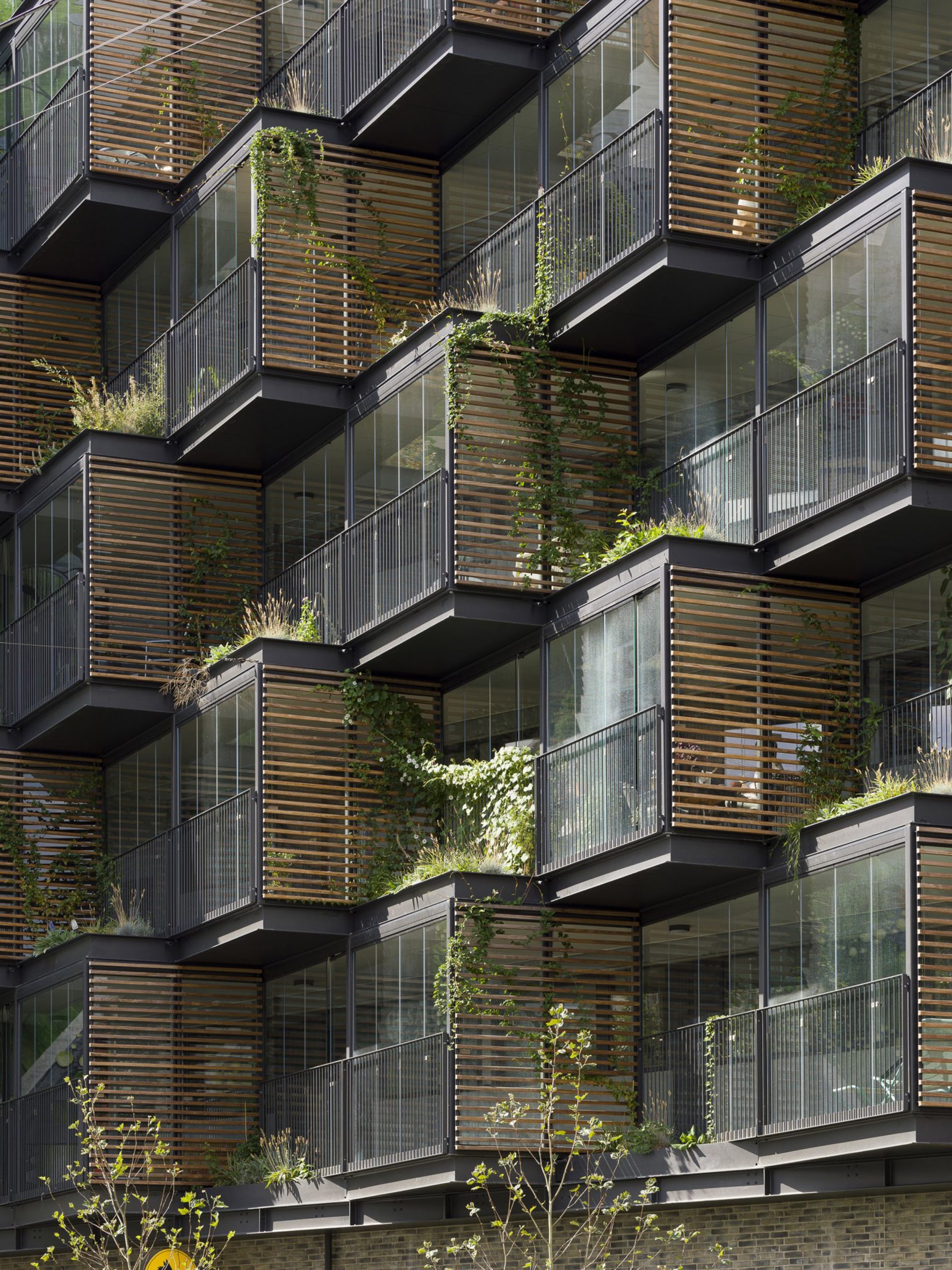 丹麦建筑师翻新公寓楼，植物填充的玻璃块打造社区空间-7