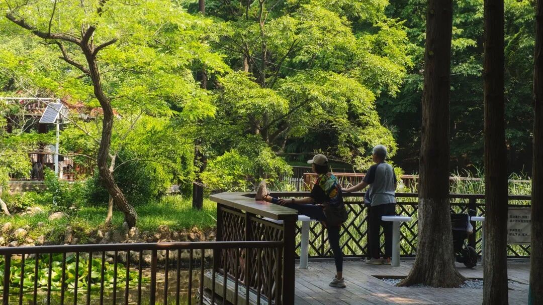 百姓乐园：榉林山焕新归来，悦享自然人文之美-41